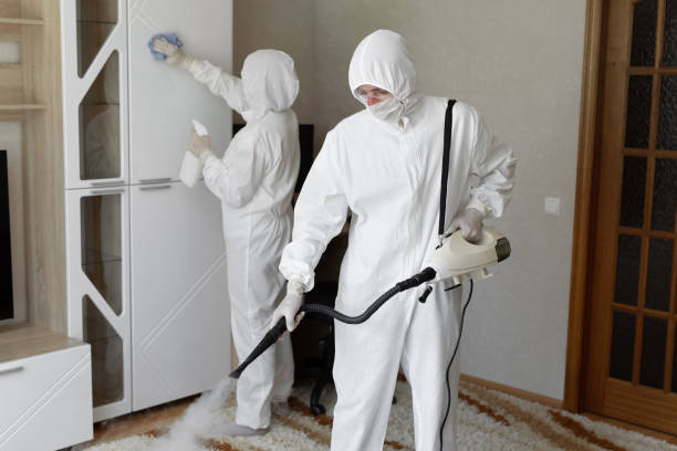 24/7 Emergency Odor Removal experts in Sidney, IL
