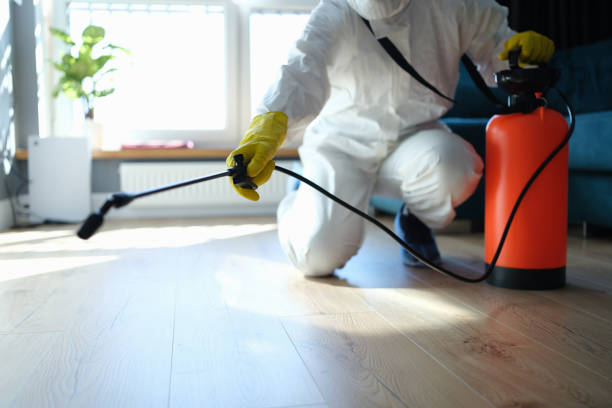 Reliable Odor Removal contractor in Sidney, IL by Crime Scene Cleaner Online